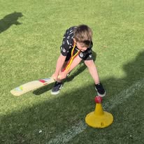 Cricket